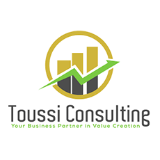 toussi_consulting