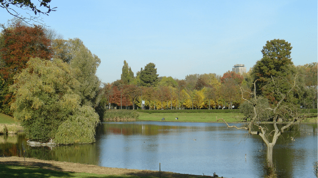 ParcWoluwe