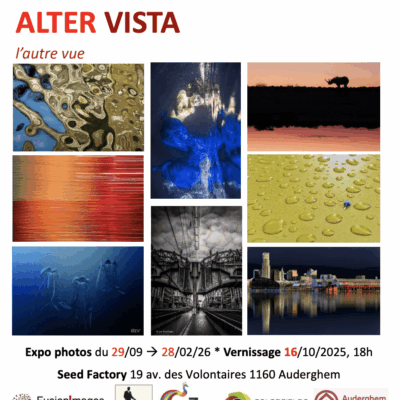 Alter Vista